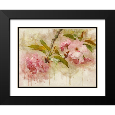 Blossom Elegance II Black Modern Wood Framed Art Print with Double Matting by Robertson, Leda