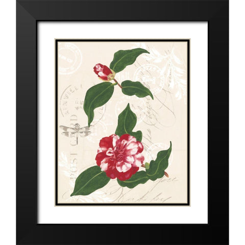 Diannes Camelias I Black Modern Wood Framed Art Print with Double Matting by Miller, Dianne