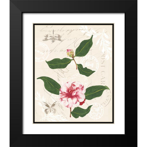 Diannes Camelias III Black Modern Wood Framed Art Print with Double Matting by Miller, Dianne