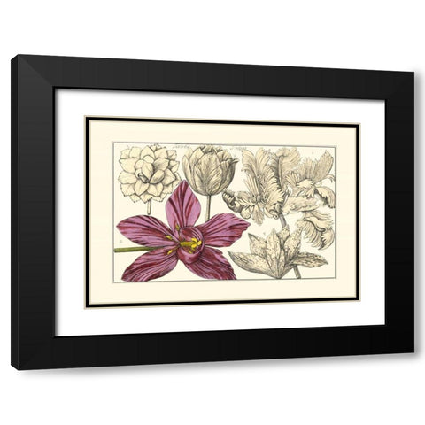 Embellished Arena Botanical IV Black Modern Wood Framed Art Print with Double Matting by Arena