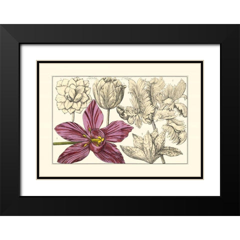 Embellished Arena Botanical IV Black Modern Wood Framed Art Print with Double Matting by Arena