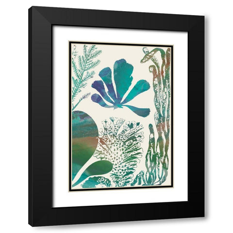 Aquatic Assemblage I Black Modern Wood Framed Art Print with Double Matting by Chandler, Sharon