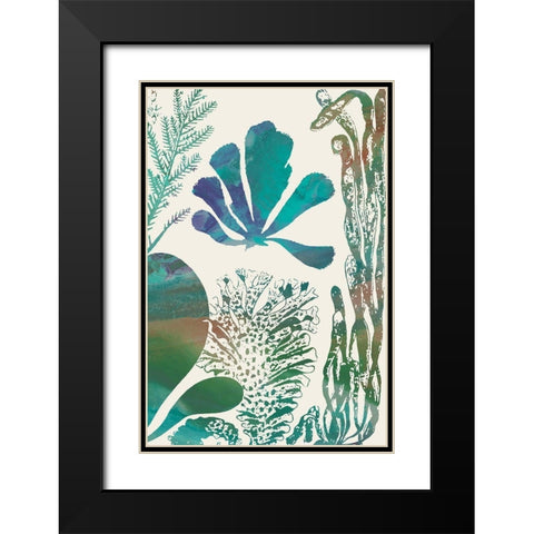 Aquatic Assemblage I Black Modern Wood Framed Art Print with Double Matting by Chandler, Sharon
