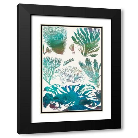 Aquatic Assemblage II Black Modern Wood Framed Art Print with Double Matting by Chandler, Sharon