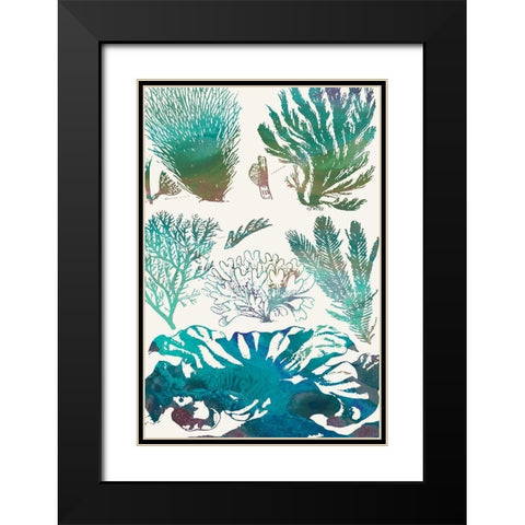 Aquatic Assemblage II Black Modern Wood Framed Art Print with Double Matting by Chandler, Sharon