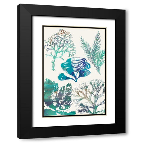 Aquatic Assemblage III Black Modern Wood Framed Art Print with Double Matting by Chandler, Sharon