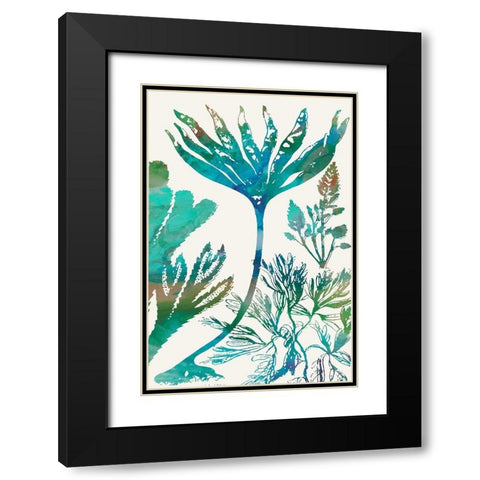 Aquatic Assemblage IV Black Modern Wood Framed Art Print with Double Matting by Chandler, Sharon