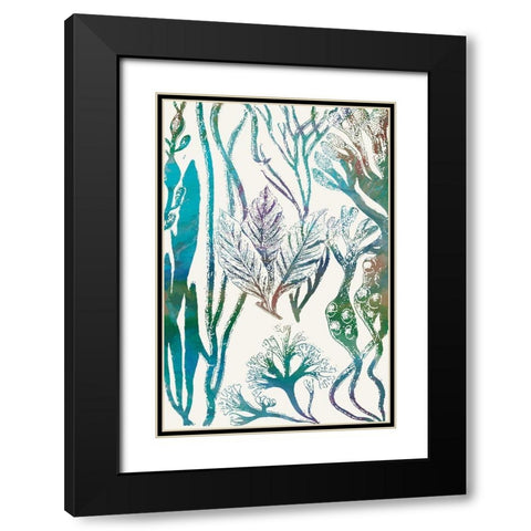 Aquatic Assemblage V Black Modern Wood Framed Art Print with Double Matting by Chandler, Sharon