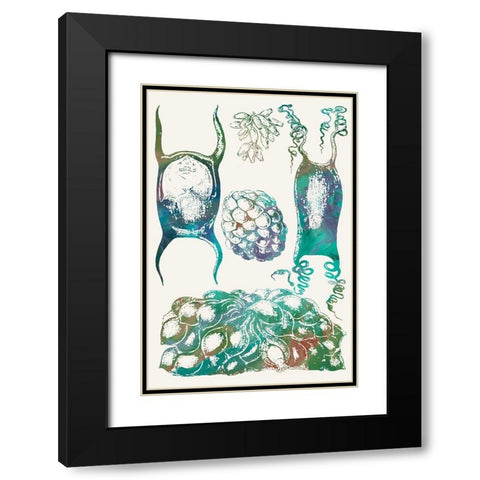 Aquatic Assemblage VI Black Modern Wood Framed Art Print with Double Matting by Chandler, Sharon