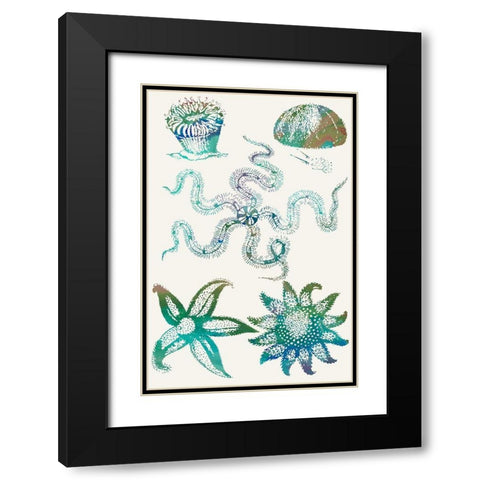 Aquatic Assemblage VII Black Modern Wood Framed Art Print with Double Matting by Chandler, Sharon