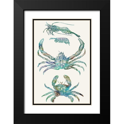 Aquatic Assemblage VIII Black Modern Wood Framed Art Print with Double Matting by Chandler, Sharon