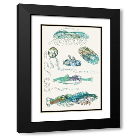 Aquatic Assemblage IX Black Modern Wood Framed Art Print with Double Matting by Chandler, Sharon