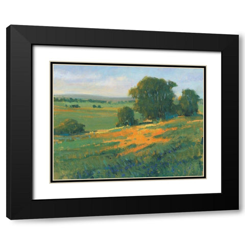 Poppy Fields II Black Modern Wood Framed Art Print with Double Matting by OToole, Tim