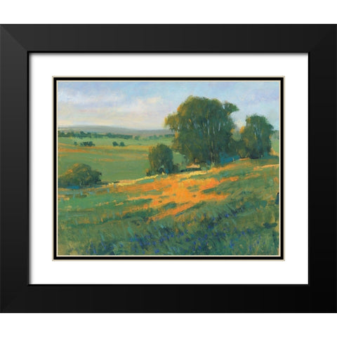 Poppy Fields II Black Modern Wood Framed Art Print with Double Matting by OToole, Tim