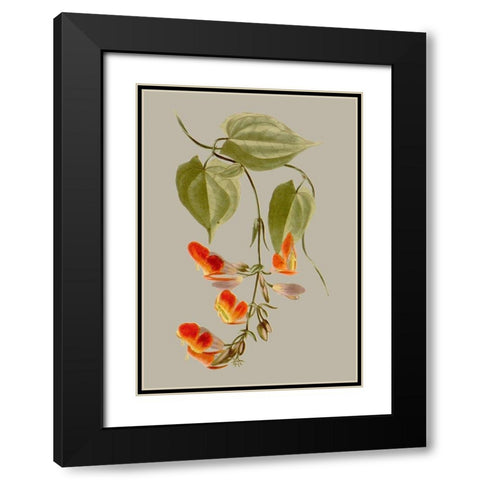 Botanical Array VI Black Modern Wood Framed Art Print with Double Matting by Vision Studio