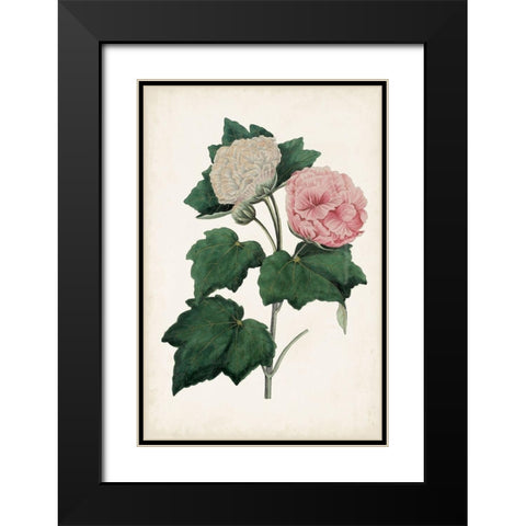 Vintage Rose Clippings II Black Modern Wood Framed Art Print with Double Matting by Vision Studio