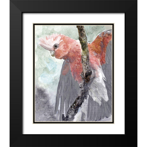 Tropic Parrot II Black Modern Wood Framed Art Print with Double Matting by Stellar Design Studio