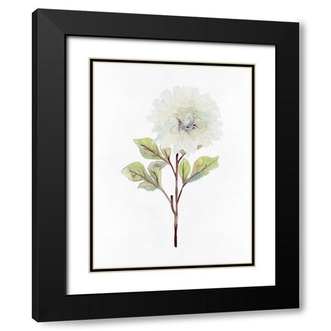 White Blossom I Black Modern Wood Framed Art Print with Double Matting by Stellar Design Studio