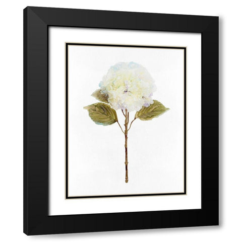 White Blossom III Black Modern Wood Framed Art Print with Double Matting by Stellar Design Studio