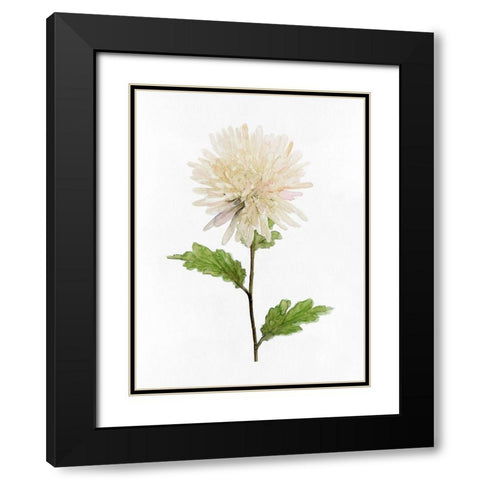 White Blossom IV Black Modern Wood Framed Art Print with Double Matting by Stellar Design Studio