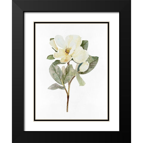 White Blossom VI Black Modern Wood Framed Art Print with Double Matting by Stellar Design Studio