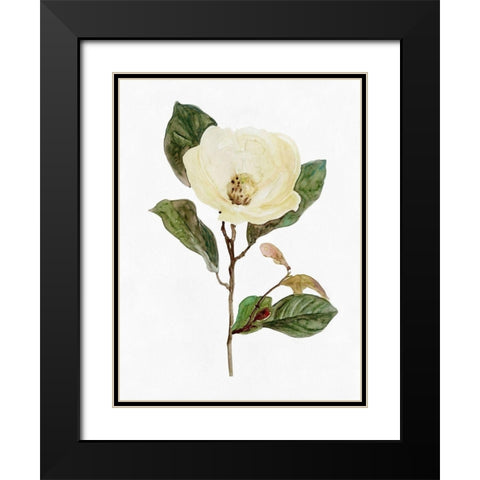 White Blossom VII Black Modern Wood Framed Art Print with Double Matting by Stellar Design Studio