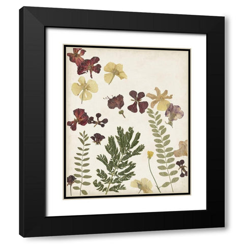 Pressed Flower Arrangement I Black Modern Wood Framed Art Print with Double Matting by Moore, Regina