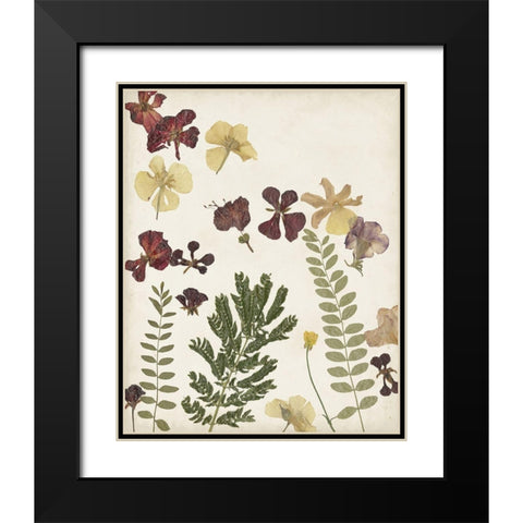 Pressed Flower Arrangement I Black Modern Wood Framed Art Print with Double Matting by Moore, Regina