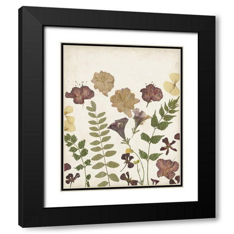 Pressed Flower Arrangement II Black Modern Wood Framed Art Print with Double Matting by Moore, Regina