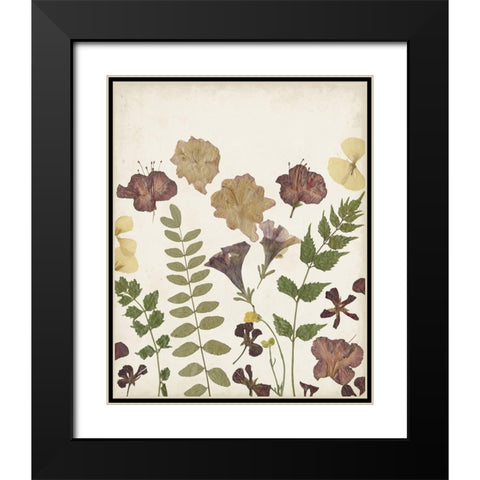 Pressed Flower Arrangement II Black Modern Wood Framed Art Print with Double Matting by Moore, Regina