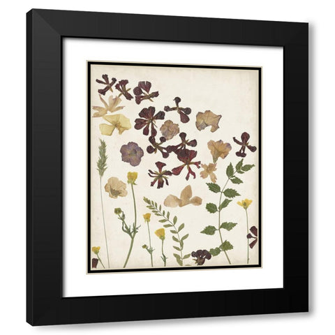 Pressed Flower Arrangement III Black Modern Wood Framed Art Print with Double Matting by Moore, Regina