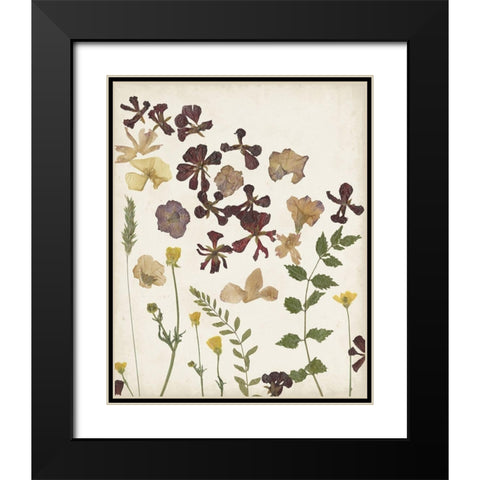 Pressed Flower Arrangement III Black Modern Wood Framed Art Print with Double Matting by Moore, Regina