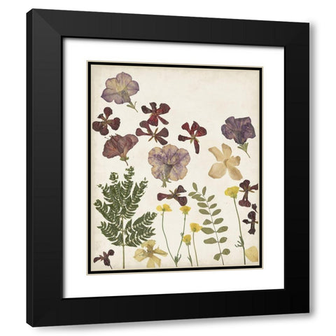 Pressed Flower Arrangement IV Black Modern Wood Framed Art Print with Double Matting by Moore, Regina
