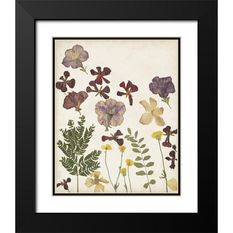 Pressed Flower Arrangement IV Black Modern Wood Framed Art Print with Double Matting by Moore, Regina