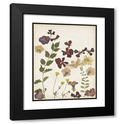 Pressed Flower Arrangement V Black Modern Wood Framed Art Print with Double Matting by Moore, Regina