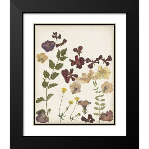 Pressed Flower Arrangement V Black Modern Wood Framed Art Print with Double Matting by Moore, Regina