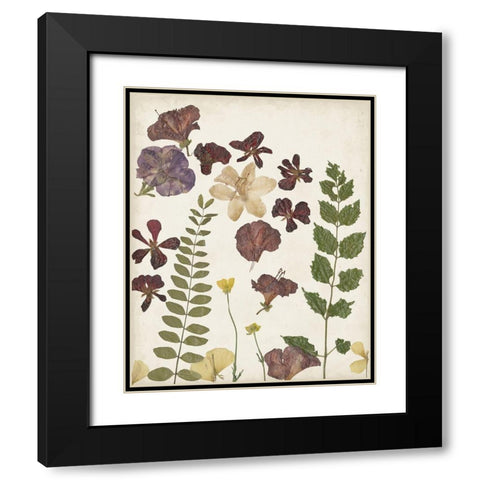 Pressed Flower Arrangement VI Black Modern Wood Framed Art Print with Double Matting by Moore, Regina