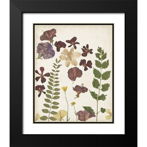 Pressed Flower Arrangement VI Black Modern Wood Framed Art Print with Double Matting by Moore, Regina