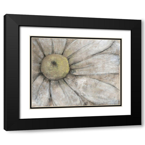 Close-Up Daisy I Black Modern Wood Framed Art Print with Double Matting by OToole, Tim