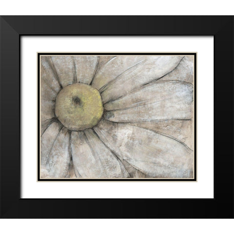 Close-Up Daisy I Black Modern Wood Framed Art Print with Double Matting by OToole, Tim