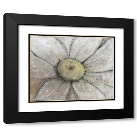 Close-Up Daisy II Black Modern Wood Framed Art Print with Double Matting by OToole, Tim