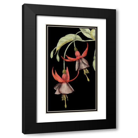 Graphic Fuchsia V Black Modern Wood Framed Art Print with Double Matting by Goldberger, Jennifer