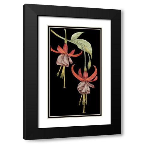 Graphic Fuchsia VI Black Modern Wood Framed Art Print with Double Matting by Goldberger, Jennifer