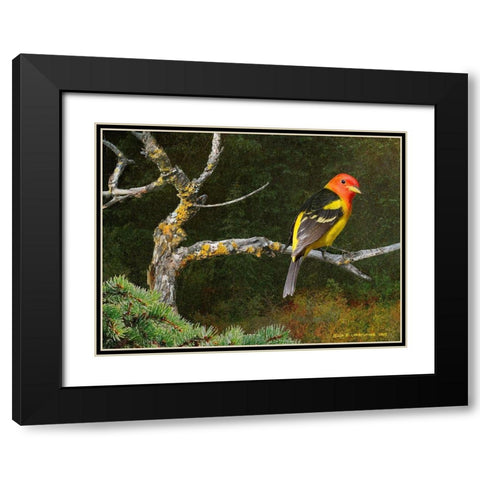 On the Branch I Black Modern Wood Framed Art Print with Double Matting by Vest, Chris