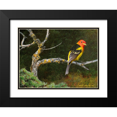 On the Branch I Black Modern Wood Framed Art Print with Double Matting by Vest, Chris