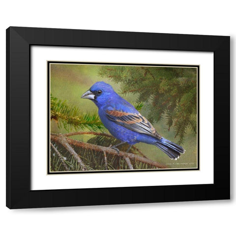 On the Branch II Black Modern Wood Framed Art Print with Double Matting by Vest, Chris