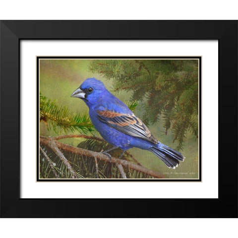 On the Branch II Black Modern Wood Framed Art Print with Double Matting by Vest, Chris