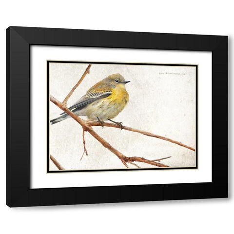 On the Branch III Black Modern Wood Framed Art Print with Double Matting by Vest, Chris