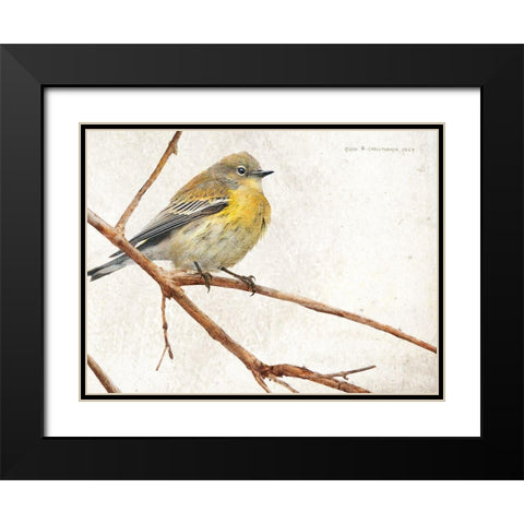 On the Branch III Black Modern Wood Framed Art Print with Double Matting by Vest, Chris