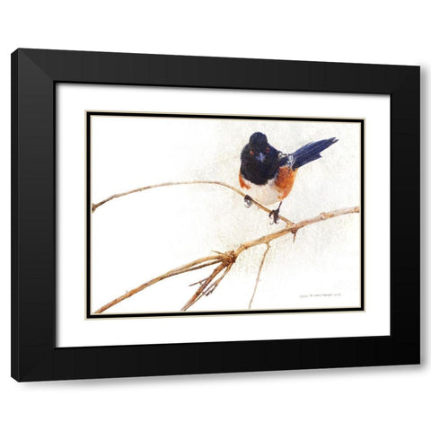 On the Branch IV Black Modern Wood Framed Art Print with Double Matting by Vest, Chris